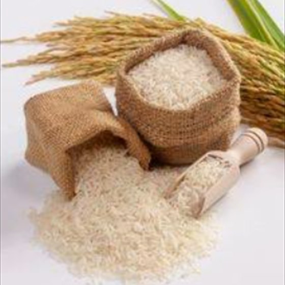 Raw rice grains spilling from jute sacks with paddy stalks behind